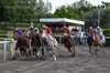 Immagine <b>REG_9339</b>
